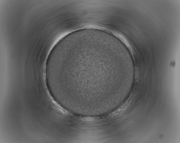 X0000096681048200802261511