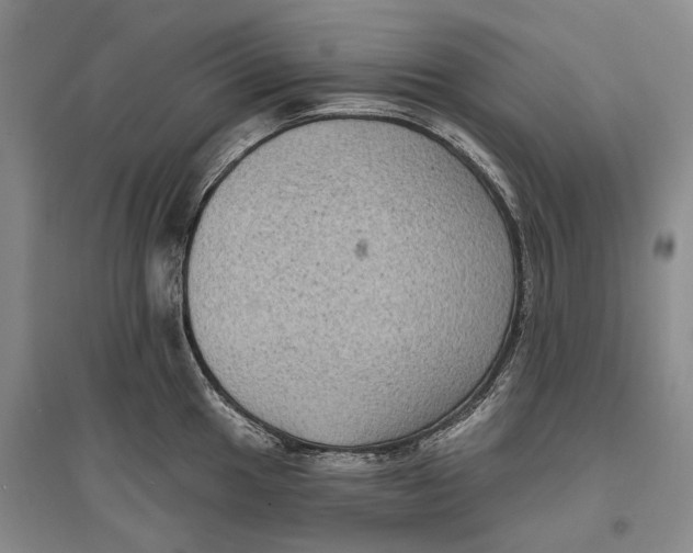 X0000096681049200802261511