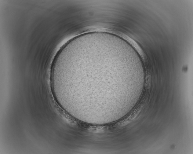 X0000096681051200802261511