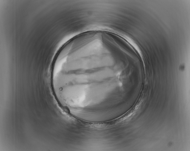 X0000096681053200802261511