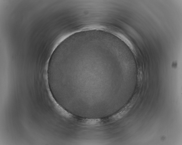 X0000096681055200802261511