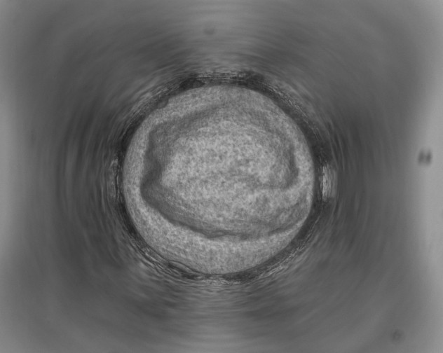 X0000096681059200802261511