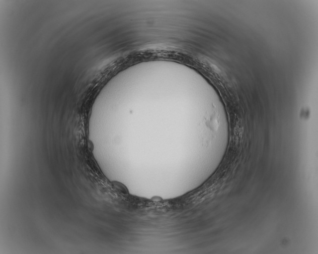 X0000096681062200802261511