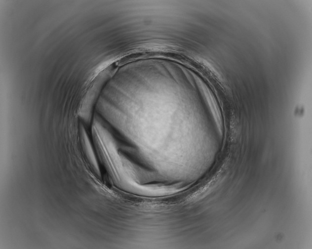 X0000096681065200802261511