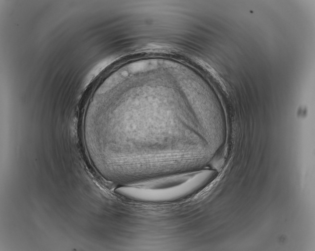 X0000096681066200802261511