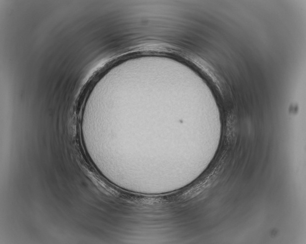 X0000096681067200802261511