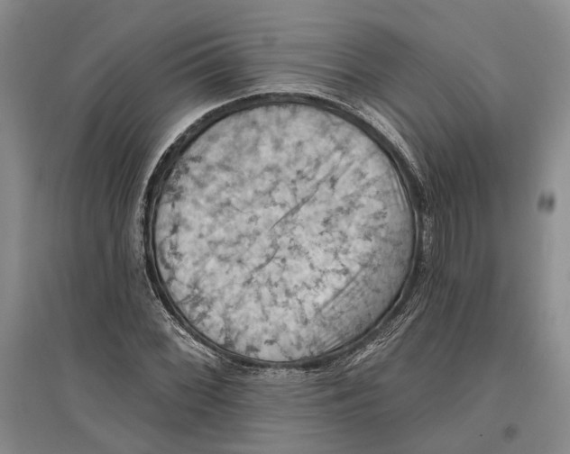 X0000096681068200802261510