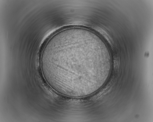 X0000096681069200802261510