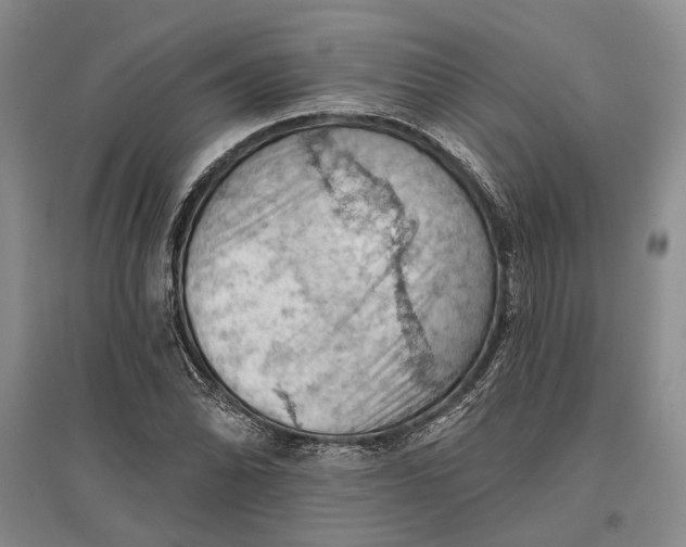 X0000096681070200802261510