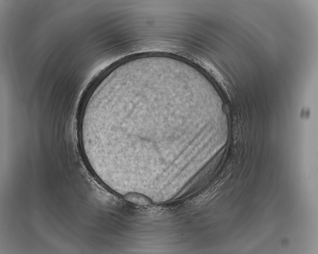 X0000096681072200802261510