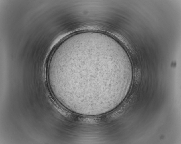 X0000096681078200802261510