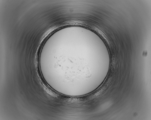 X0000096681082200802261510