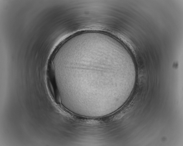X0000096681085200802261510