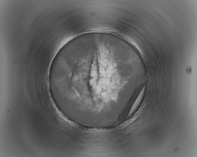 X0000096681087200802261510