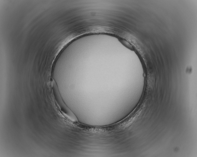 X0000096681089200802261510