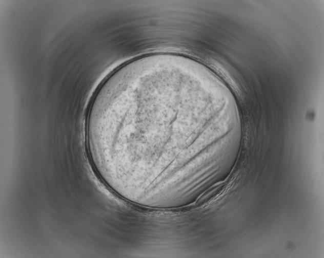 X0000096681092200802261510