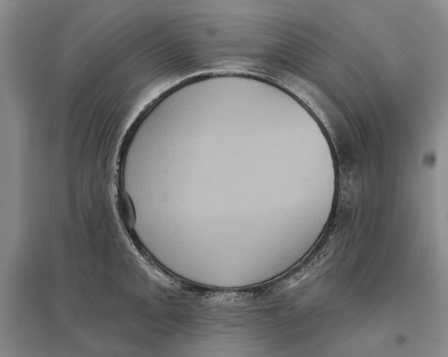 X0000096681093200802261510