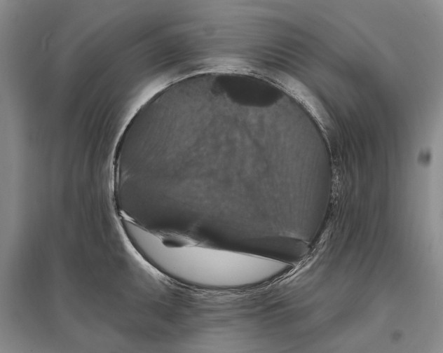X0000096681095200802261510