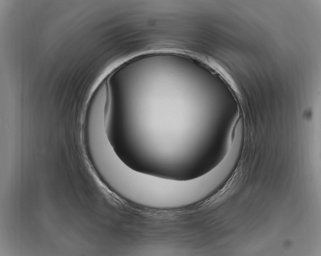X0000096681101200802261510