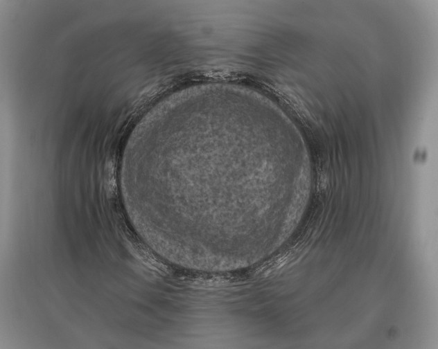 X0000096681106200802261509