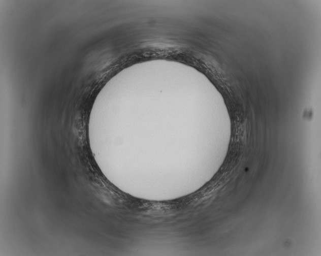 X0000096681109200802261509