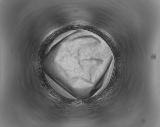 X0000096681112200802261509
