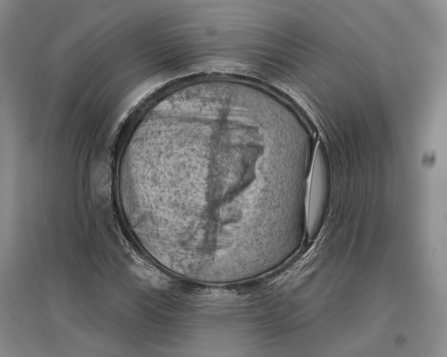 X0000096681115200802261509
