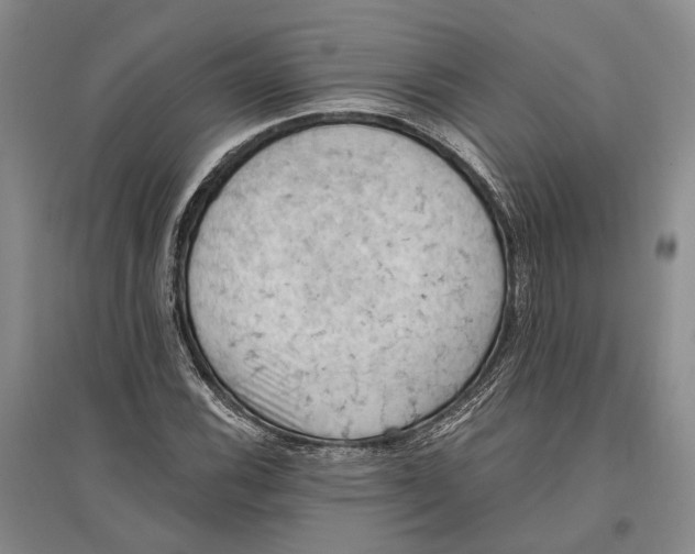 X0000096681116200802261509