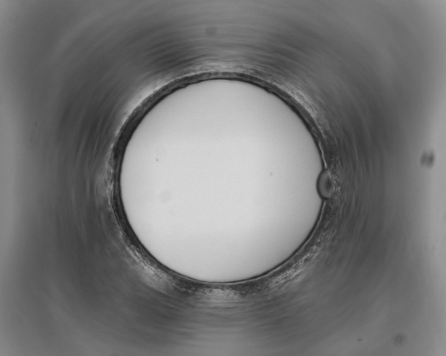 X0000096681119200802261509