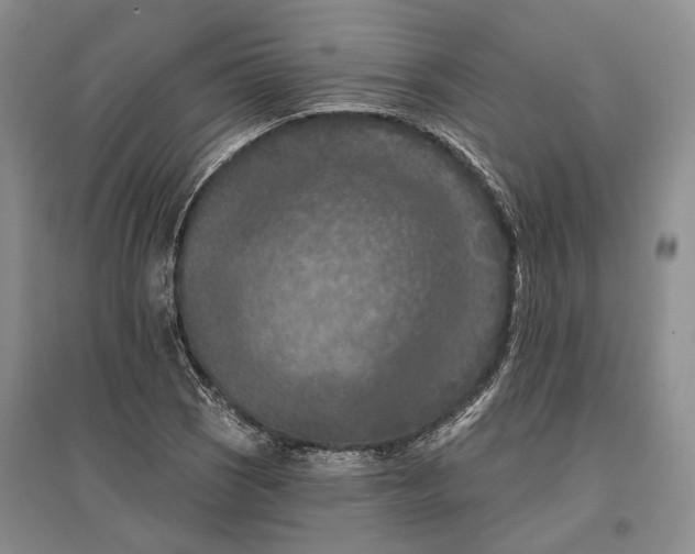 X0000096681121200802261509