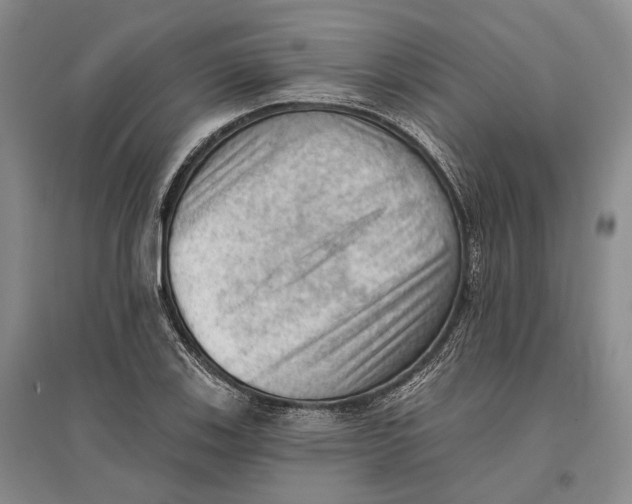 X0000096681123200802261510