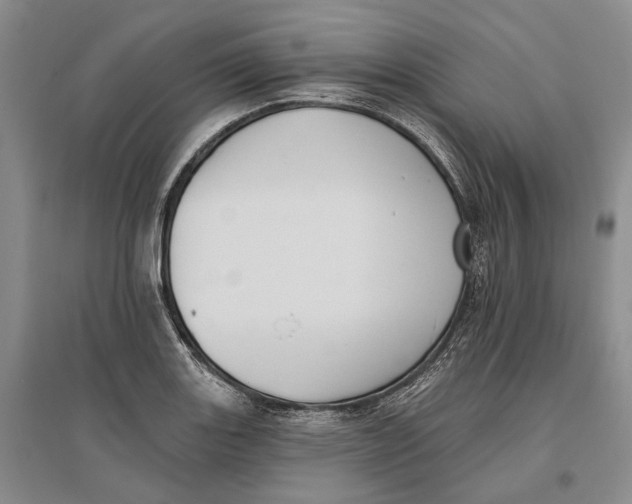 X0000096681131200802261510