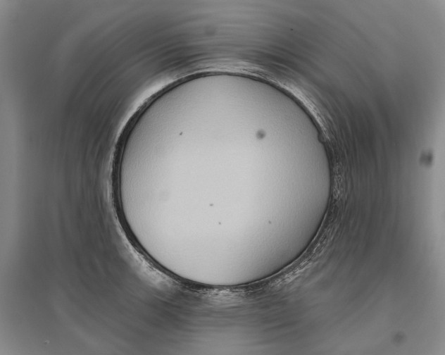 X0000096681139200802261510