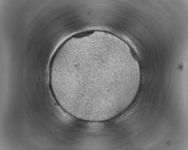 X0000096681140200802261510