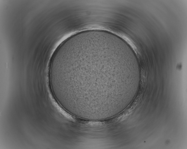 X0000096681142200802261510