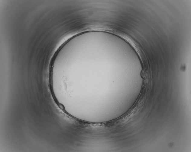 X0000096681147200802261510