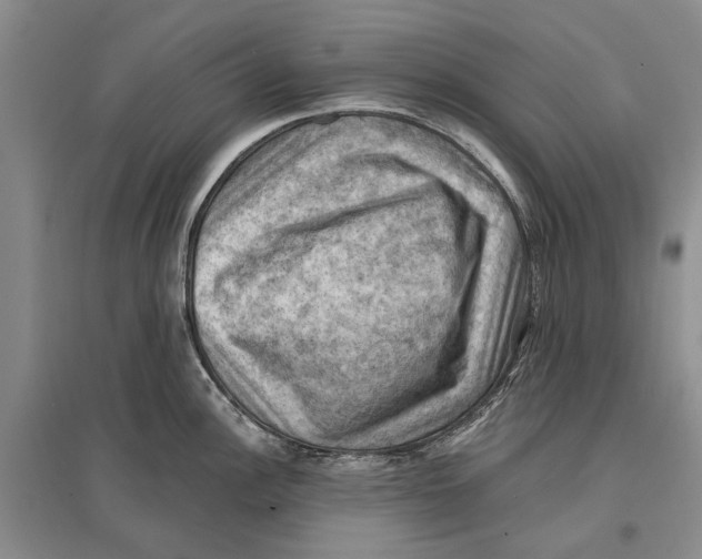X0000096681148200802261510