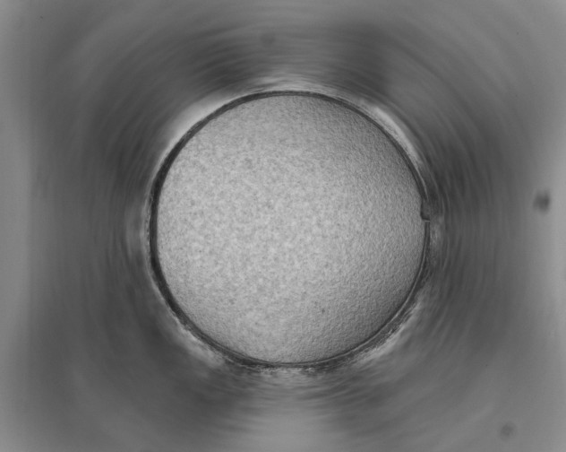 X0000096681149200802261510