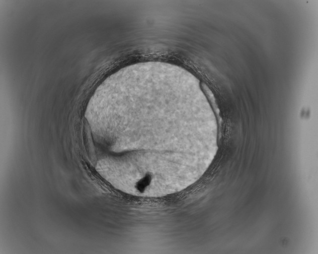X0000096681153200802261509