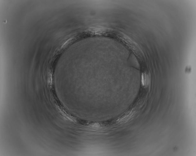 X0000096681155200802261509