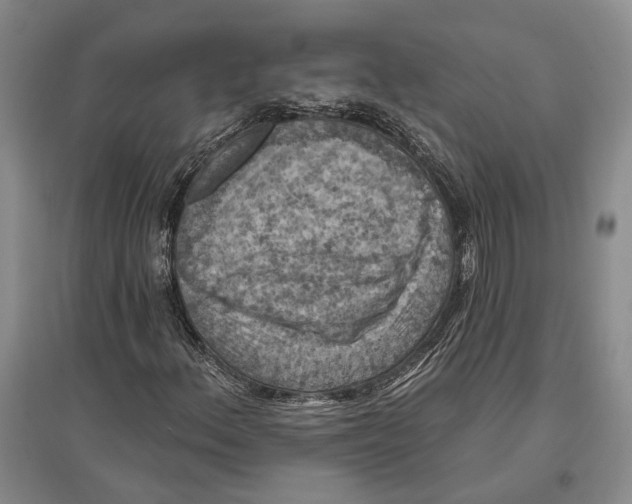 X0000096681156200802261509