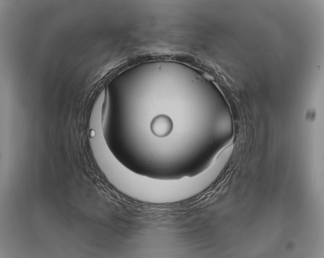 X0000096681157200802261509