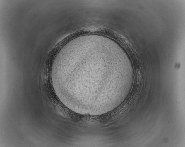 X0000096681158200802261509