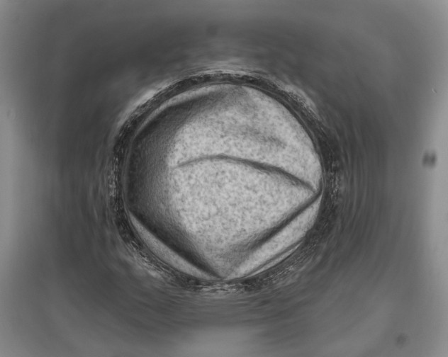 X0000096681159200802261509