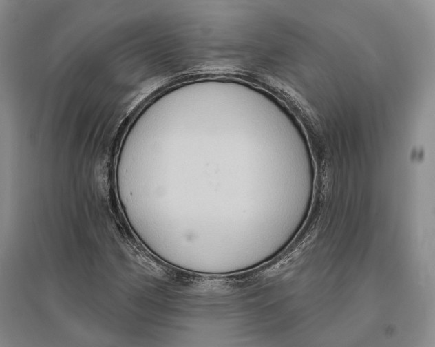 X0000096681162200802261509