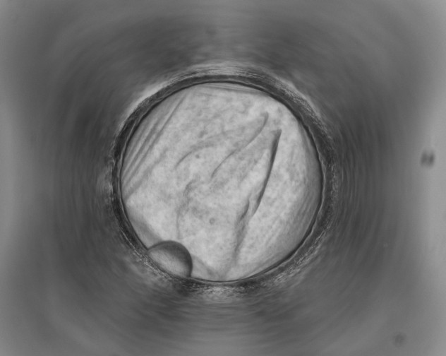X0000096681166200802261509
