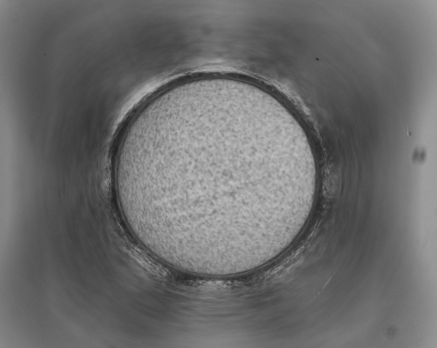 X0000096681167200802261509
