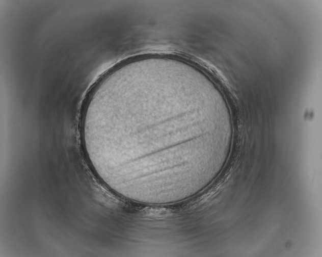 X0000096681168200802261509