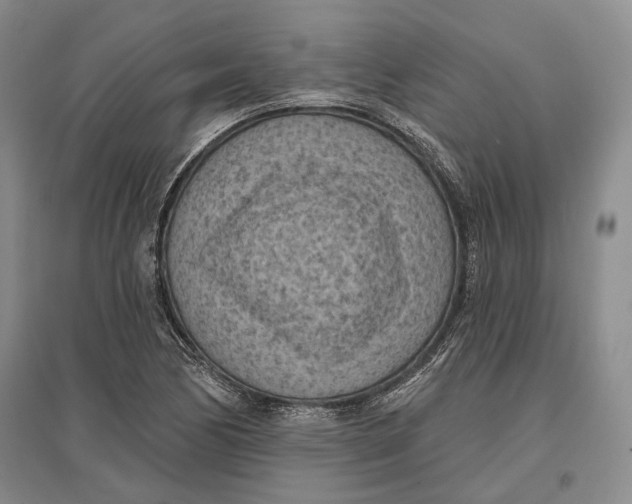 X0000096681170200802261509