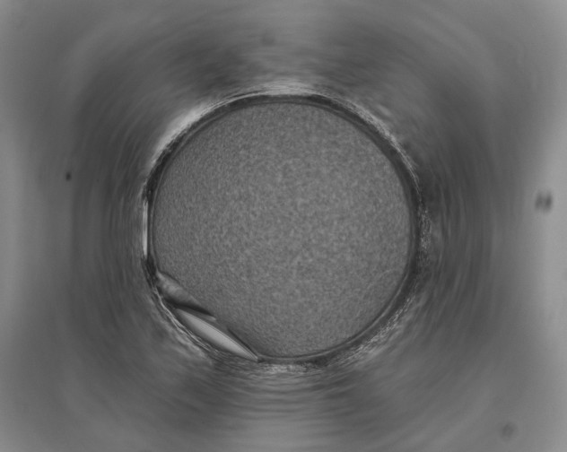 X0000096681171200802261509